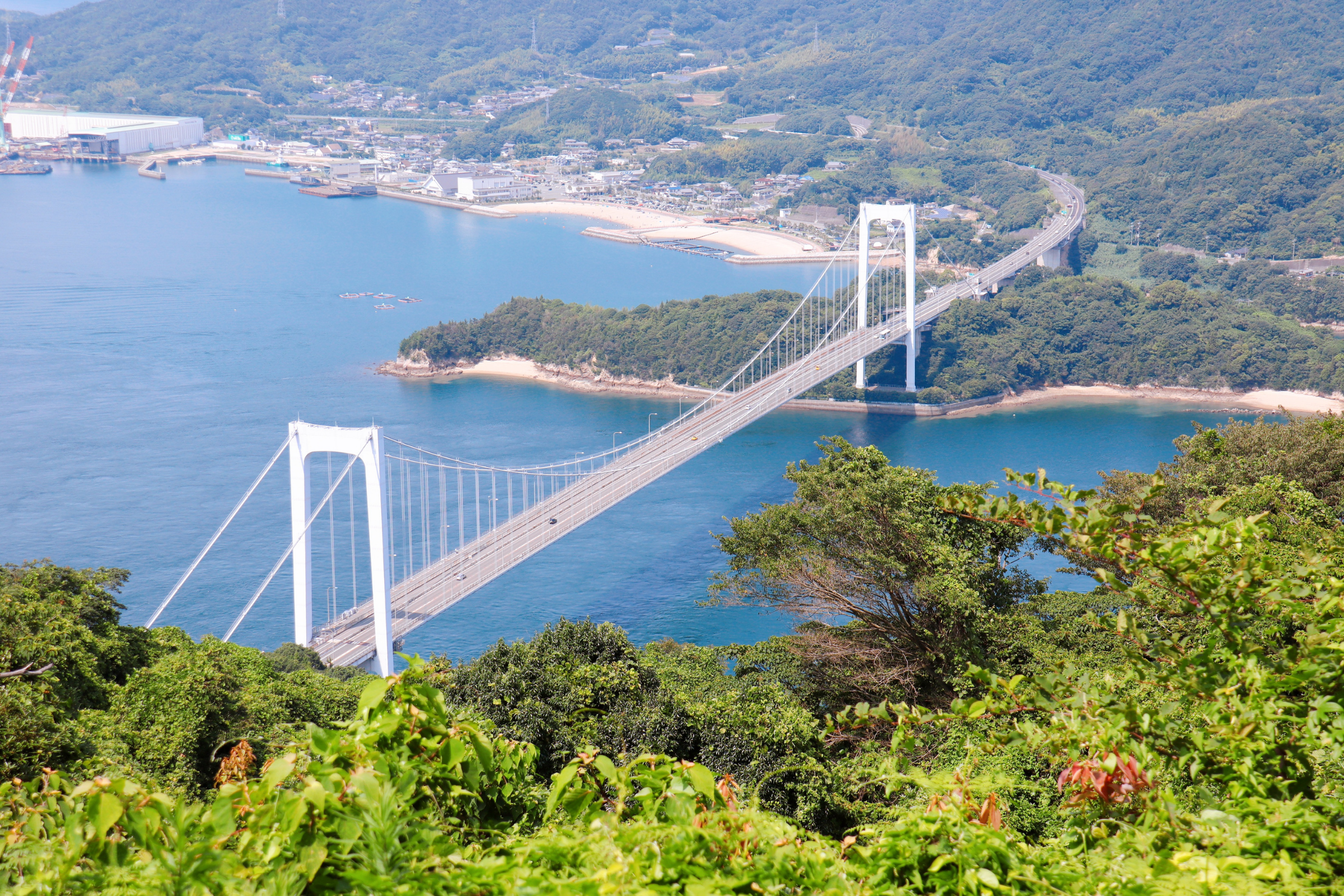 ōshima island (2).webp